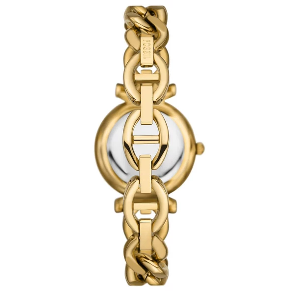 Fossıl FES5329 Kadın Kol Saati - Resim 3