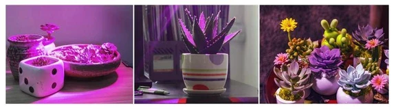 Bitki Yetiştirme Lambası Tam Spektrum - 2