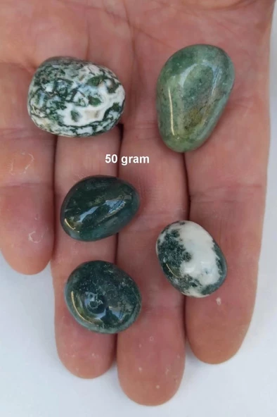 50 Gram Yosunlu Akik Tamburlu Parçalar 117