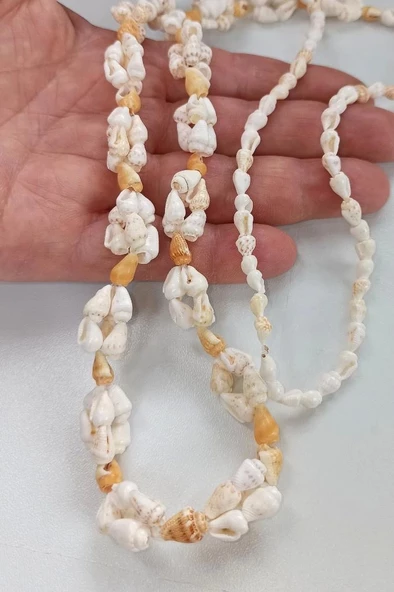 Deniz Kabuklarından Uzun Kolye 213-1 - 2