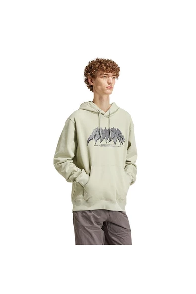 adidas Erkek FLAMES CONC H Sweatshirt IS2948