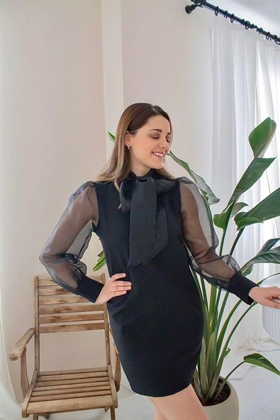 Organze Fiyonklu Elbise - Resim 2