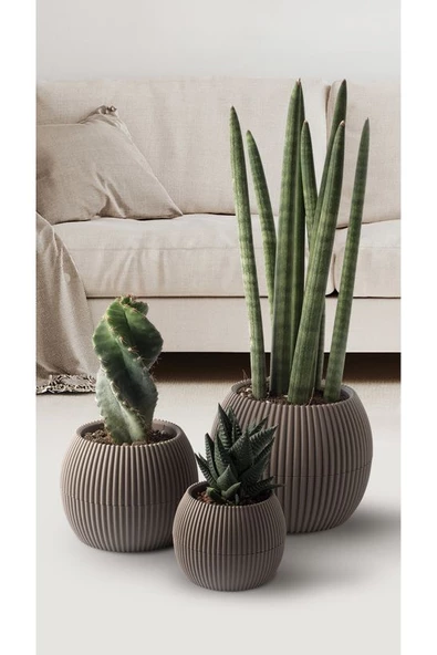 1 Adet 0.15 Litre Mercan No:1 Kaktüs Sukulent Saksısı Plastik Saksı 88x68mm - 7