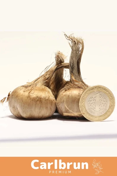 Premium Özel Dikime Hazır Yerli Üretim Büyük Boy 1. Kalite Safranbolu Safran Bitkisi Soğanı - 5 Adet - 2