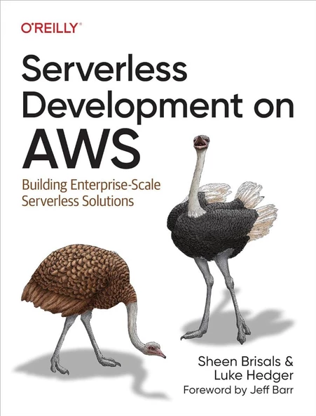 Serverless Development on AWS: Building Enterprise-Scale Serverless Solutions Brisals Hedger