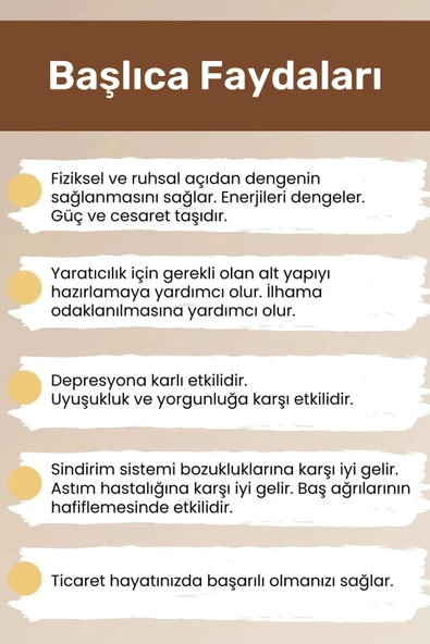 Premium Akrep Burcu Enerjisini Yükselten Doğal Taş Bileklik Akrep Burçları Burç Unisex Bileklik - 4