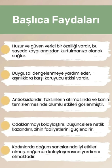 Premium Başak Burcu Enerjisini Yükselten Doğal Taş Bileklik Başak Burçları Burç Unisex Bileklik - 4