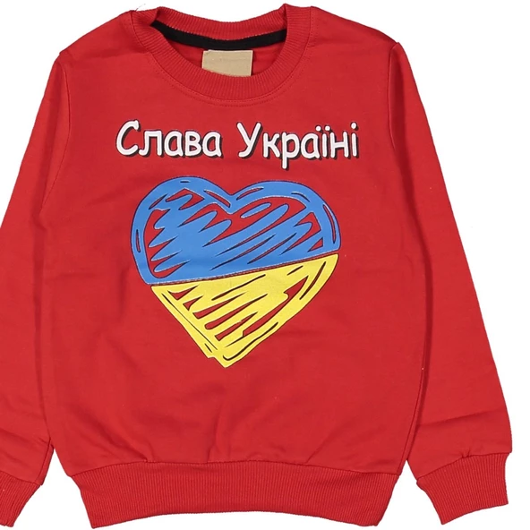 Kız Çocuk Kalp Baskılı Sweatshirt BGL-ST03635 - 3