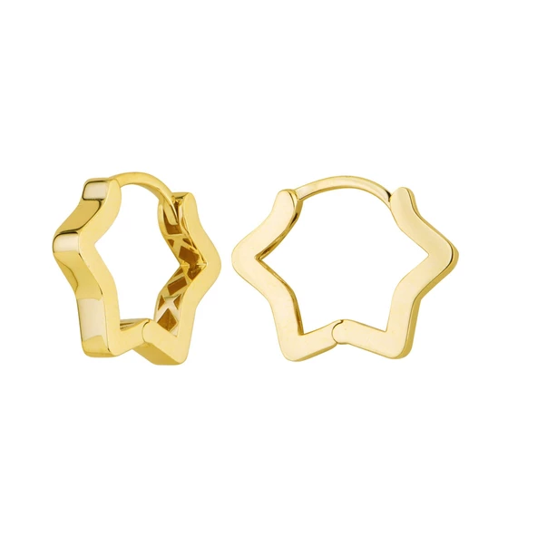 14 Ayar İtalyan Altın Yıldız Küpe 2,8 gr - 4