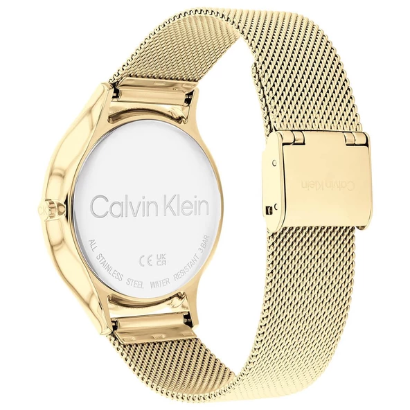 Calvin Klein CK25100005 Kadın Kol Saati - Resim 3