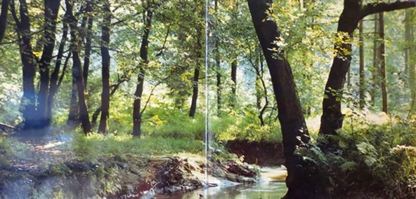 Renate Und Werner Leismann – Drei Weisse Birken 2xLP Pop Vinly Plak alithestereo - 2