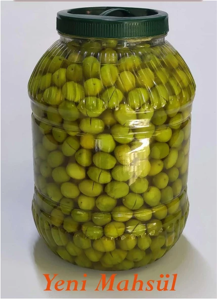 Hatay Yöresel Hatay'dan Organik, Yeni Sezon Yeşil Kırma Zeytin (ORTA BOY) (5 KG)