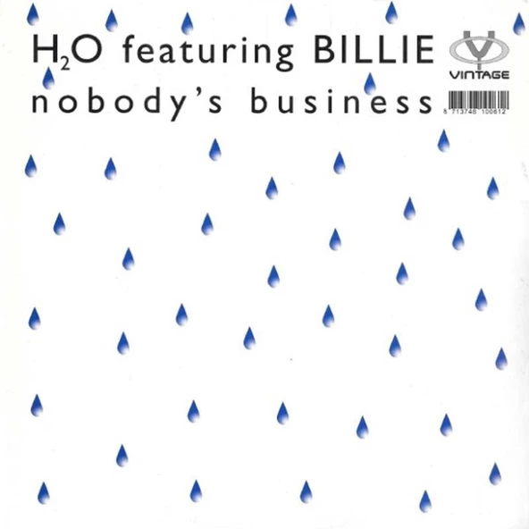 H2O Featuring Billie – Nobody's Business House Vinly Plak alithestereo