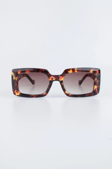 Silvio Monetti Kadın Leopar UV 400 Korumalı Güneş Gözlüğü 23SM10525R02 ürün görseli 1