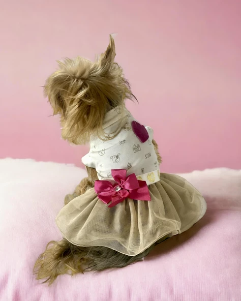 Creamy Fuchia Tütülü Köpek Elbisesi,  Kıyafeti Tutu - 5