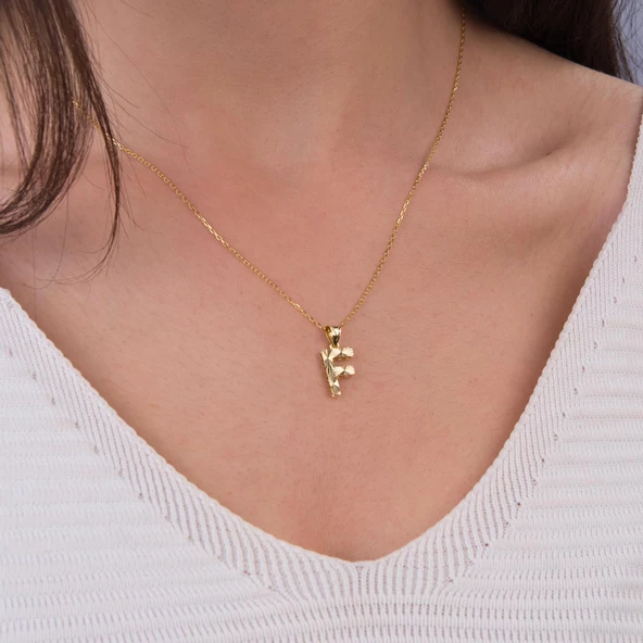 14 Ayar Altın F Harfi Kolye Ucu 0.56 gr - Resim 2