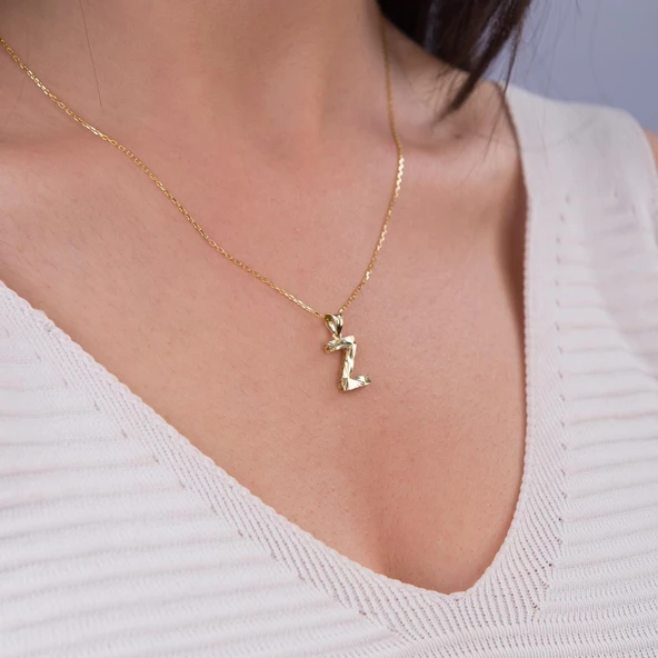 14 Ayar Altın Z Harfi Kolye Ucu 0.55 gr - 3