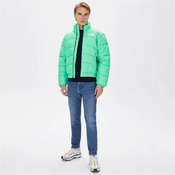 THE NORTH FACE ERKEK CEKET M TNF JACKET 2000 NF0A7URE8YK1 - 2