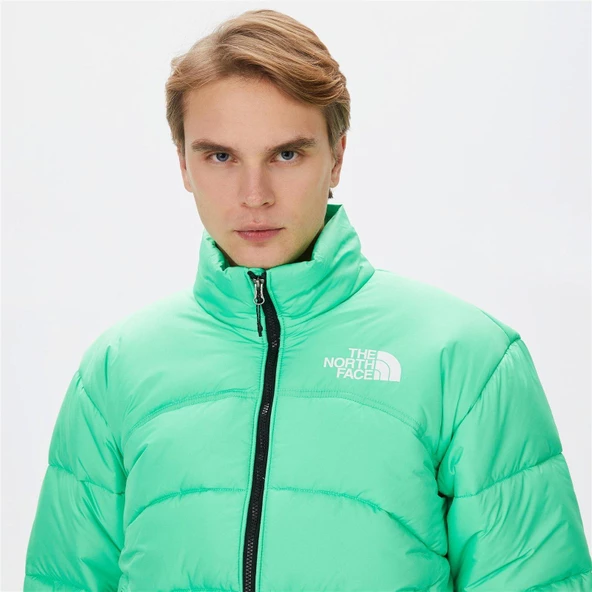 THE NORTH FACE ERKEK CEKET M TNF JACKET 2000 NF0A7URE8YK1 - 4