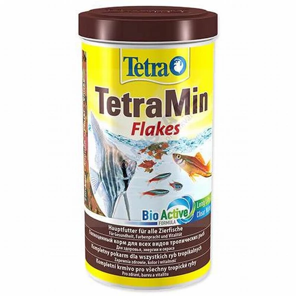 Tetra Tetramin Flakes Balık Yemi 100 Ml