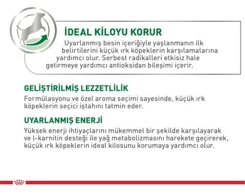 Royal Canin Mini Adult Yetişkin Köpek Yaş Maması 85 Gr x 12 Adet - 2