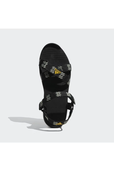 MOARY               CBLACK/SILGRN/ACTGOL - 6