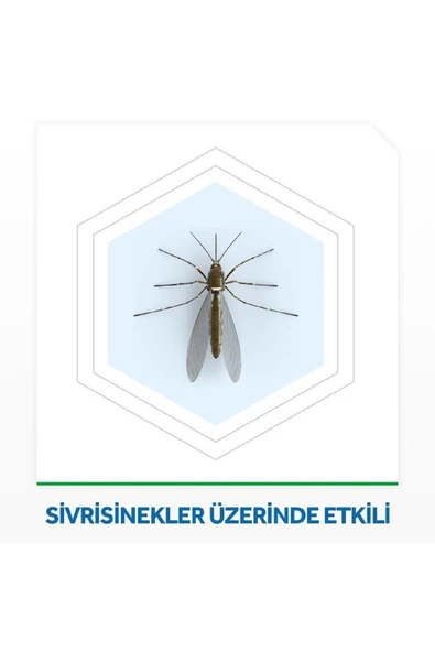Raid Raid Elekro Likit 2 Yedek, Ekonomik Paket, 60 Gece (sivrisineklere Karşı) - 3