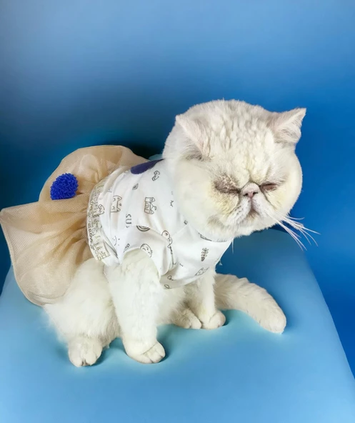 Navy Creamy Tütülü Kedi Elbisesi, Kıyafeti Tutu - Resim 5