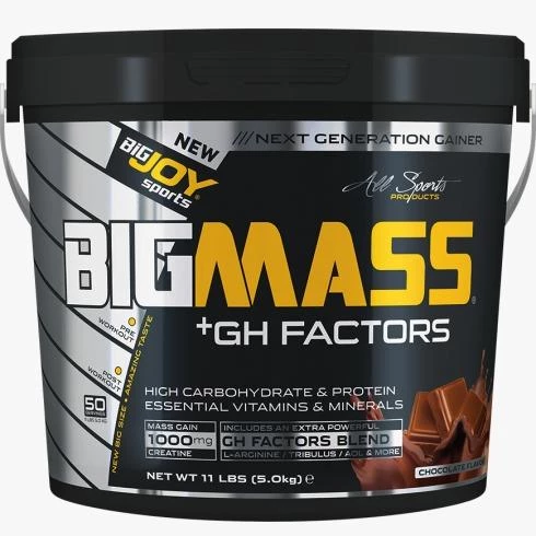 Bigjoy Sports Big Mass +GH Factors 5000 Gr Çikolata