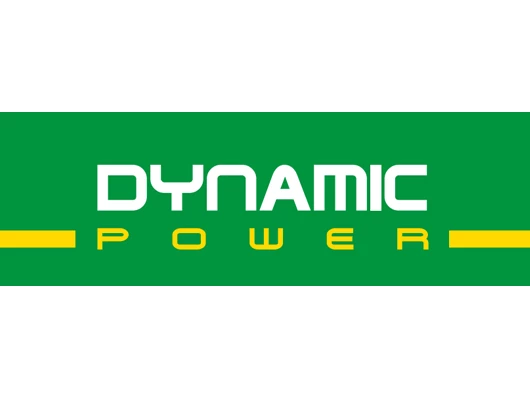 DYNAMIC DPG 165 KVA KABİNLİ TAM OTOMATİK DİZEL JENERATÖR - 3