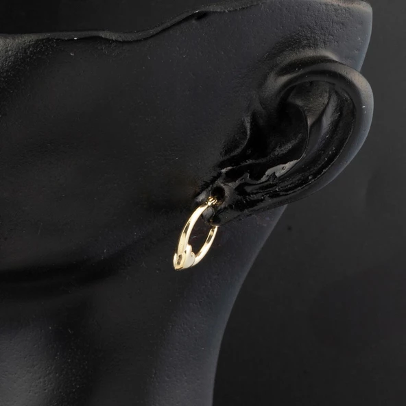 Orta Boy 14 Ayar Altın Kalp Halka Küpe - Resim 3