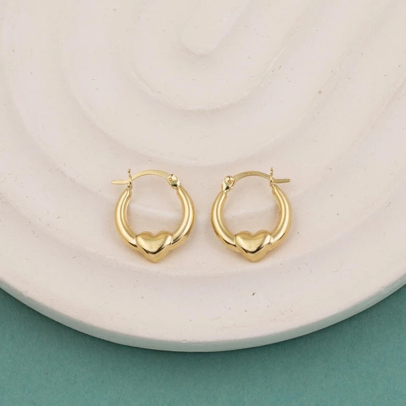 Orta Boy 14 Ayar Altın Kalp Halka Küpe - Resim 2