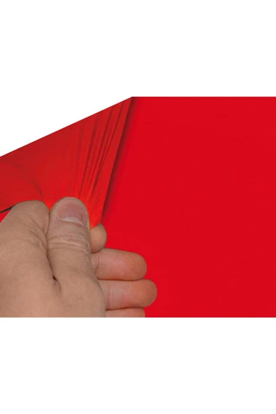 Foliatec Sökülebilir Sprey Folyo Kaplama Seti 2'li Kırmızı Parlak - 5