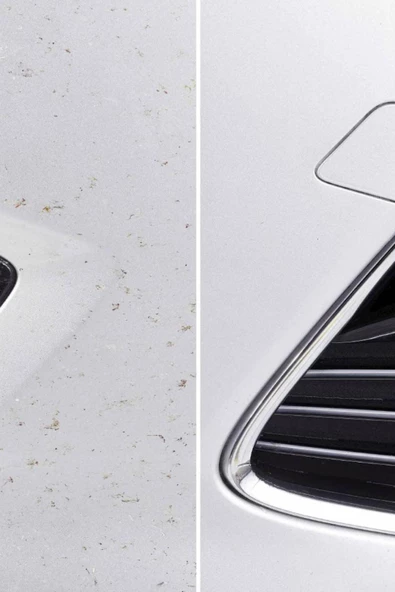 Sonax Böcek Temizleyici 500 ml - Resim 3