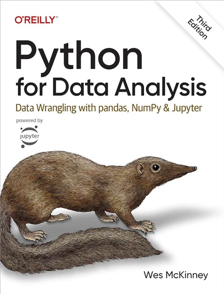 Python for Data Analysis: Data Wrangling with pandas, NumPy, and Jupyter 3rd Edition Wes McKinney