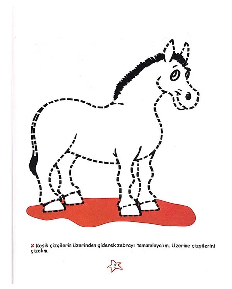 Zebranın Çizgileri - Resim 2