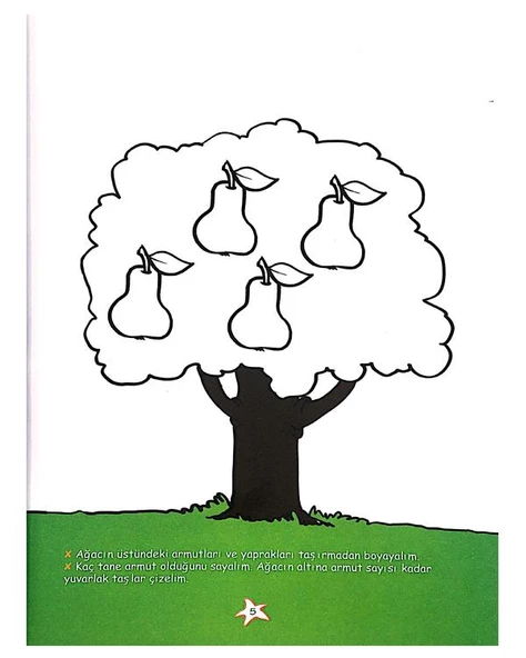 Zebranın Çizgileri - Resim 3