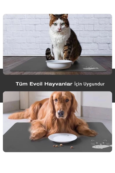 MAtGo Pati Evcil Hayvan Beslenme Matı Balık Figürlü Su Geçirmez Kaymaz Gri Kedi Köpek Mama Paspası 50x70cm - 4