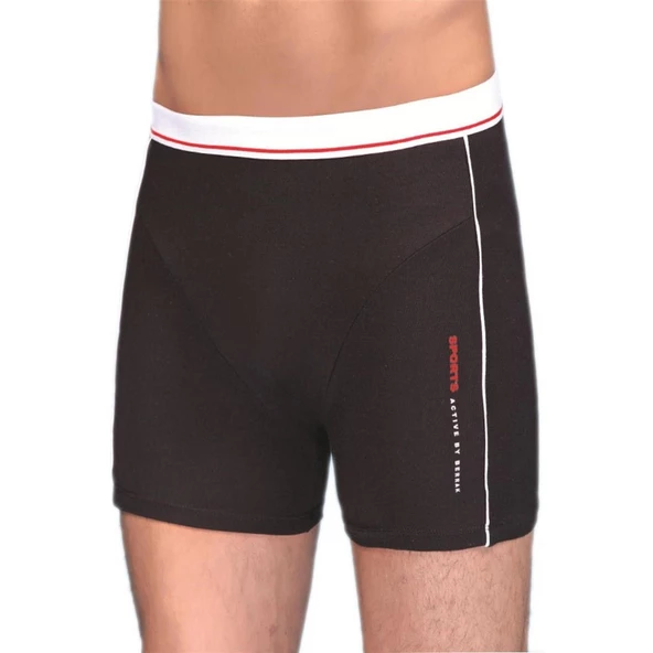 Berrak 1078 Silva Short Erkek Modal Boxer Şort