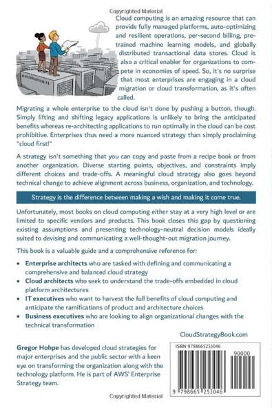 Cloud Strategy: A Decision-based Approach to Successful Cloud Migration (Architect Elevator Book Series) Hohpe Danieli - Resim 2