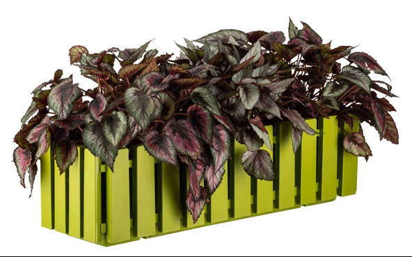 Poliwork Akasya Renkli Plastik Balkon Saksısı 60 cm - 3