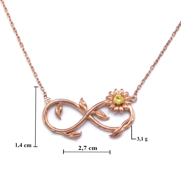 Sonsuzluk İşareti Motifli Zirkon Taşlı Rose Gümüş Kolye GK-193 - Resim 3
