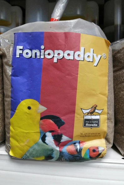 Foniopaddy Tohumu 1Kg Kapalı Ambalaj