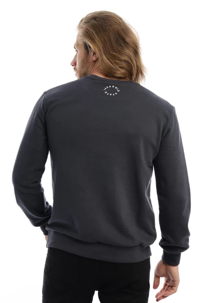 Erkek 3 İplik Pamuklu Baskılı Regular Fit Basic Bisiklet Yaka Füme Sweatshirt - Resim 5