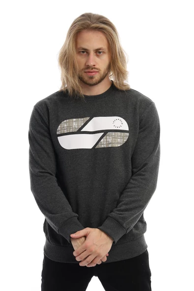 Erkek 3 İplik Pamuklu Baskılı Regular Fit Basic Bisiklet Yaka Antrasit Sweatshirt - 8