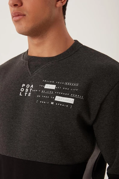 Erkek 3 İplik Pamuklu İçi Polarlı Baskılı 3 renkli Basic Bisiklet Yaka Siyah Sweatshirt - 6