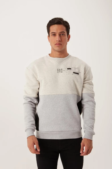 Erkek 3 İplik Pamuklu İçi Polarlı Baskılı 3 renkli Basic Bisiklet Yaka Gri Sweatshirt - 4