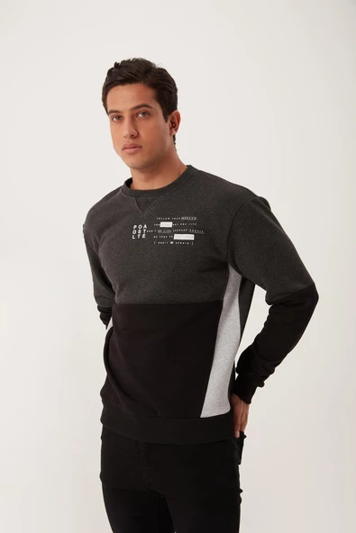 Erkek 3 İplik Pamuklu İçi Polarlı Baskılı 3 renkli Basic Bisiklet Yaka Siyah Sweatshirt - 5