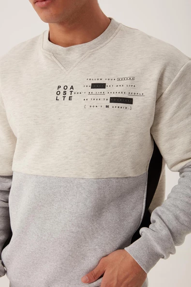 Erkek 3 İplik Pamuklu İçi Polarlı Baskılı 3 renkli Basic Bisiklet Yaka Gri Sweatshirt - 8