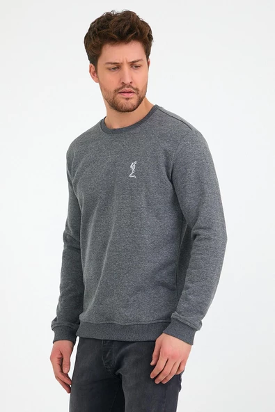 Erkek 3 İplik Pamuklu Regular Fit Nakışlı Bisiklet Yaka Basic Sweatshirt - 6
